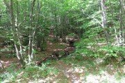 IMG_0026