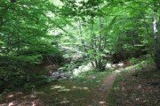 IMG_0028