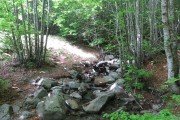 IMG_0029