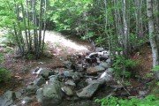 IMG_0032
