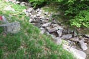 IMG_0033