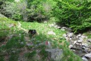 IMG_0036