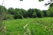 IMG_0039