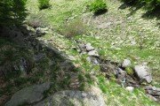IMG_0041