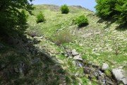IMG_0042