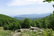 IMG_0044