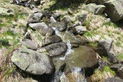 IMG_0048