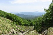 IMG_0050