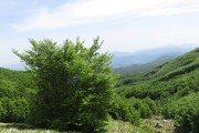 IMG_0057