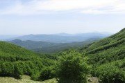 IMG_0058