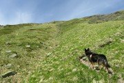 IMG_0061