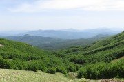 IMG_0065