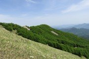 IMG_0066