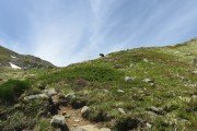 IMG_0068