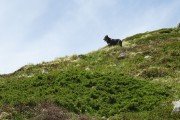 IMG_0071