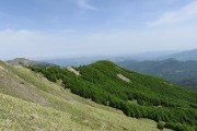 IMG_0072
