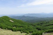 IMG_0075