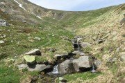 IMG_0084