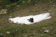 IMG_0094