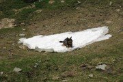 IMG_0095