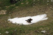 IMG_0096