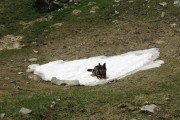 IMG_0097