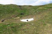 IMG_0098