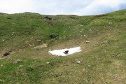 IMG_0099