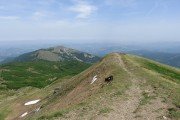 IMG_0100