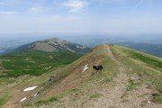 IMG_0101