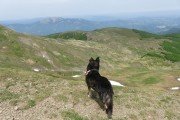 IMG_0106