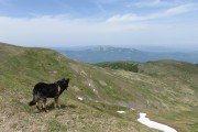 IMG_0109