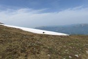 IMG_0116