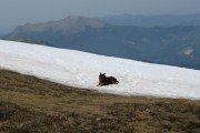 IMG_0118