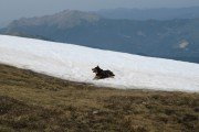 IMG_0119