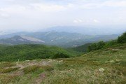 IMG_0185