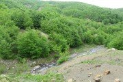IMG_0194