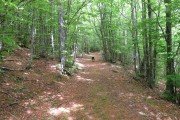 IMG_0196