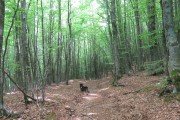 IMG_0199