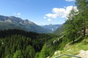 IMG_0005