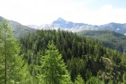 IMG_0007