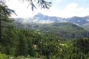 IMG_0011