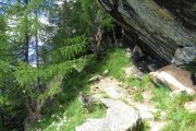 IMG_0013