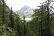 IMG_0016