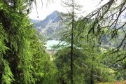 IMG_0019