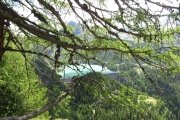 IMG_0020
