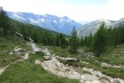 IMG_0029
