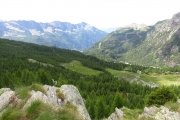 IMG_0031