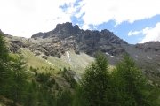 IMG_0038