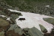 IMG_0055